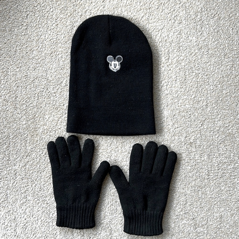 Lined knit gloves and knit hat SUPER FAST SHIPPING